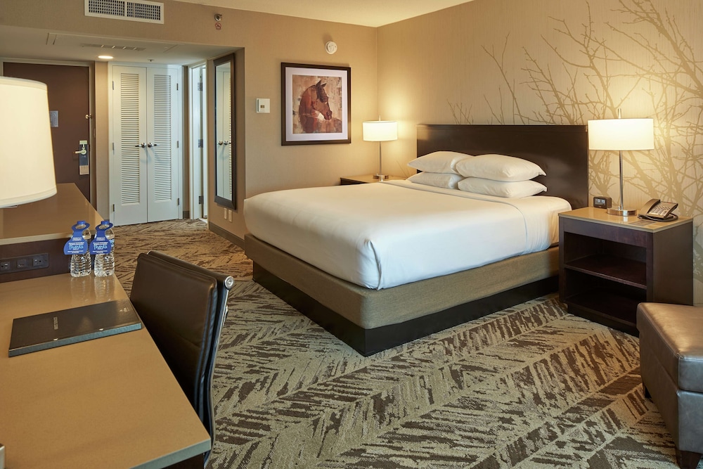 Hilton Cincinnati Airport - photo 13