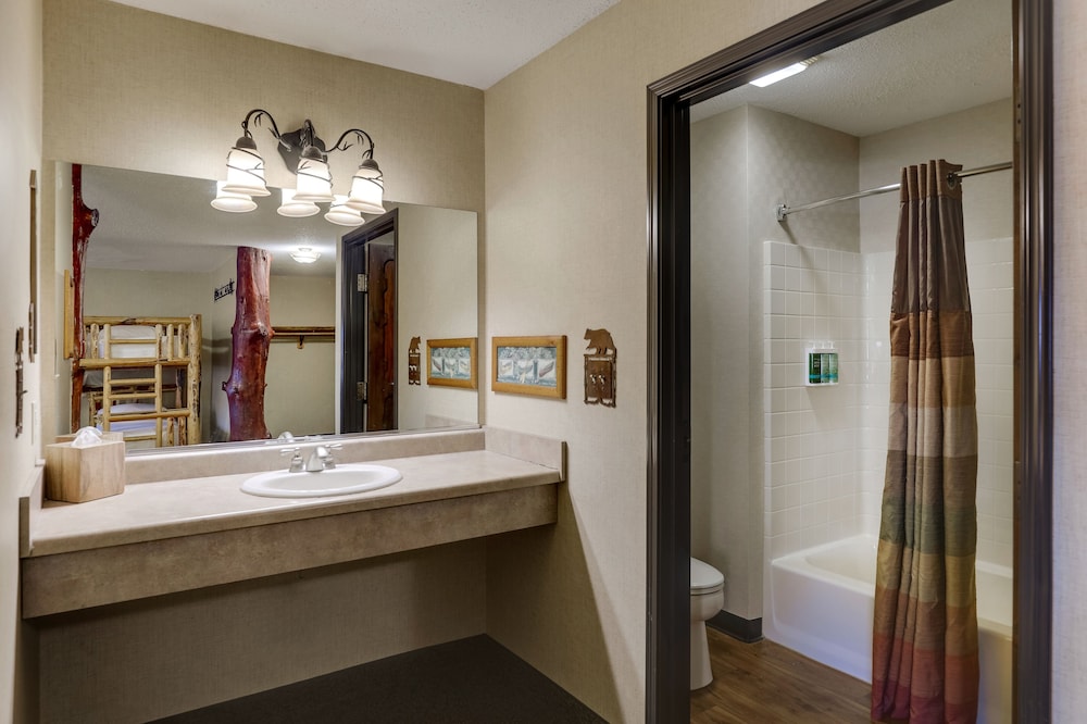 Stoney Creek Hotel Quad Cities Moline - photo 33