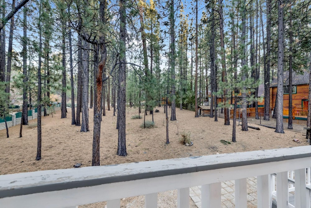 Evergreen Escape 1322 by Big Bear Vacations - photo 19