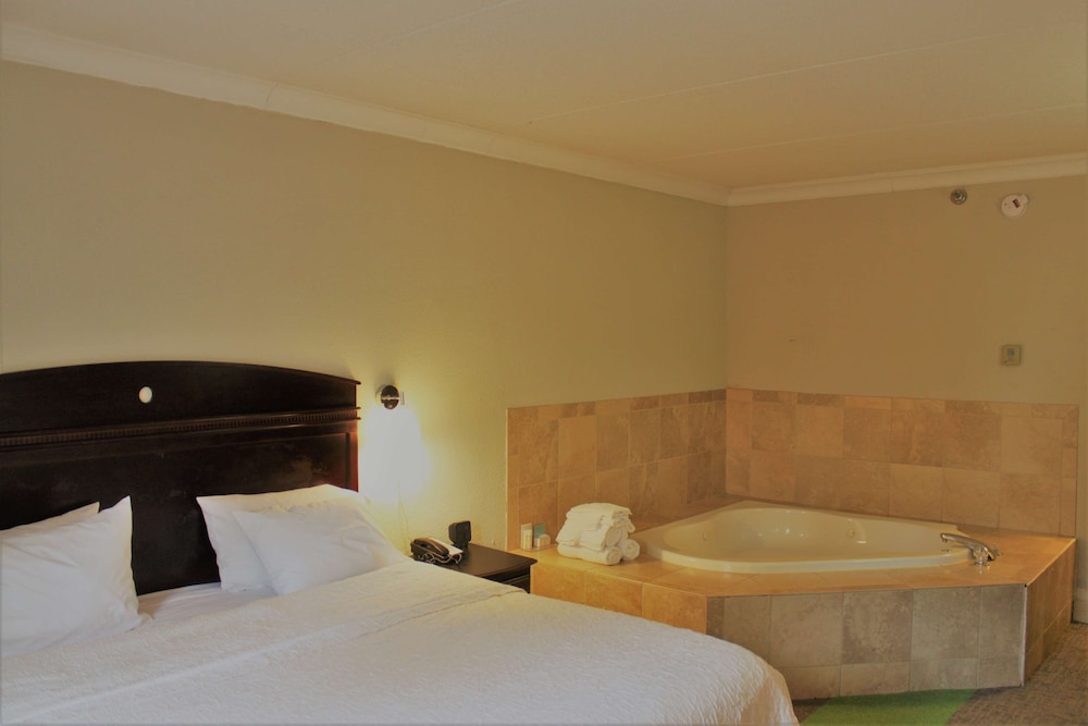 Hampton Inn Americus - photo 20