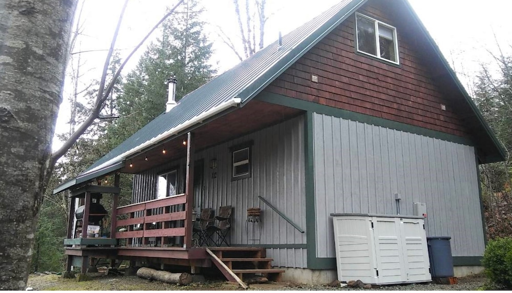 Packwood Family Ski and Vacation Getaway - photo 33