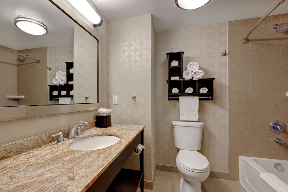 Hampton Inn & Suites Tampa Northwest Oldsmar - photo 21