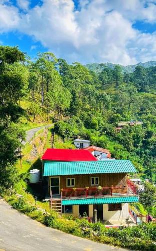 El Pino De Ringlana in Lansdowne, India