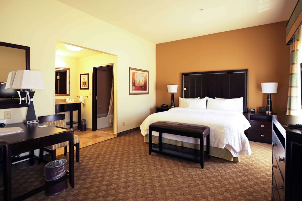 Hampton Inn & Suites McAlester - photo 6