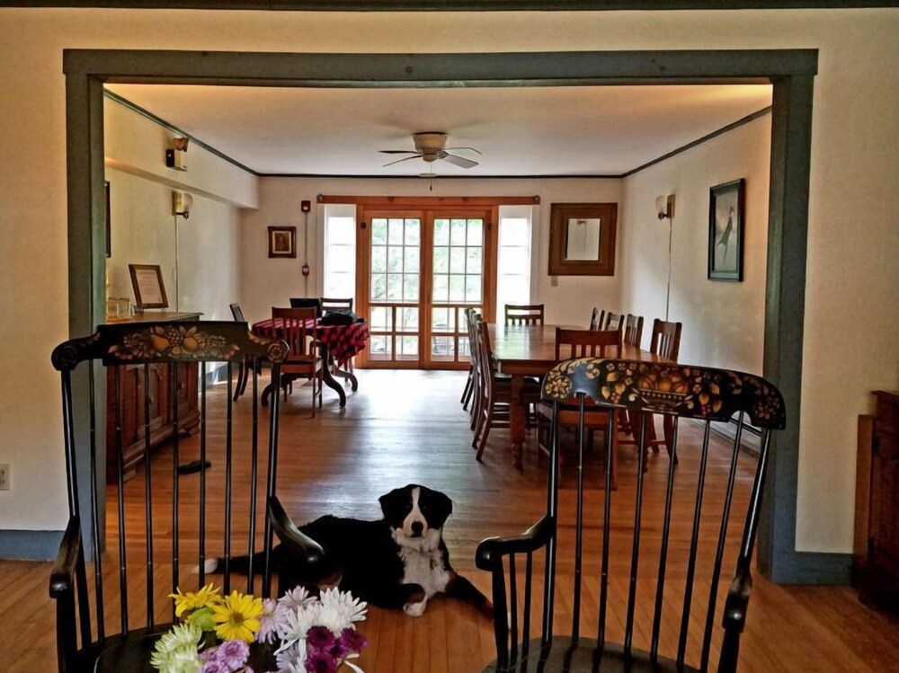 The Swanson Inn - photo 15