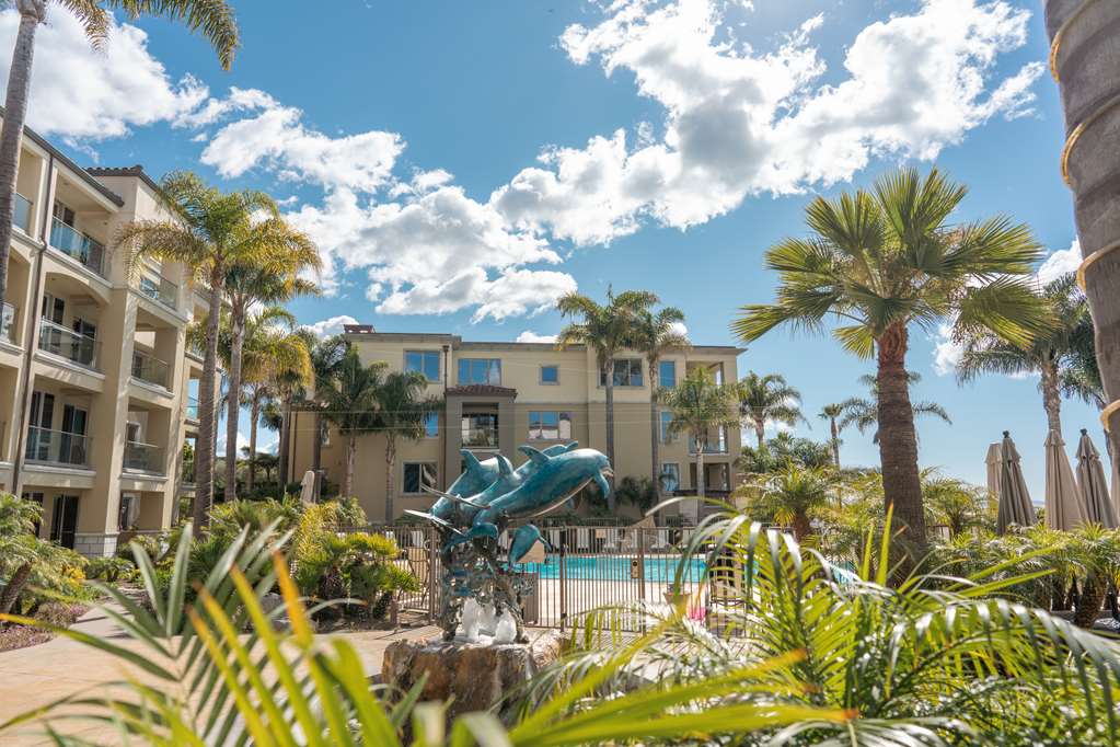 Dolphin Bay Resort And Spa - photo 19