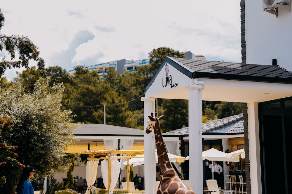 Luva Butik Otel in Didim, Turkey