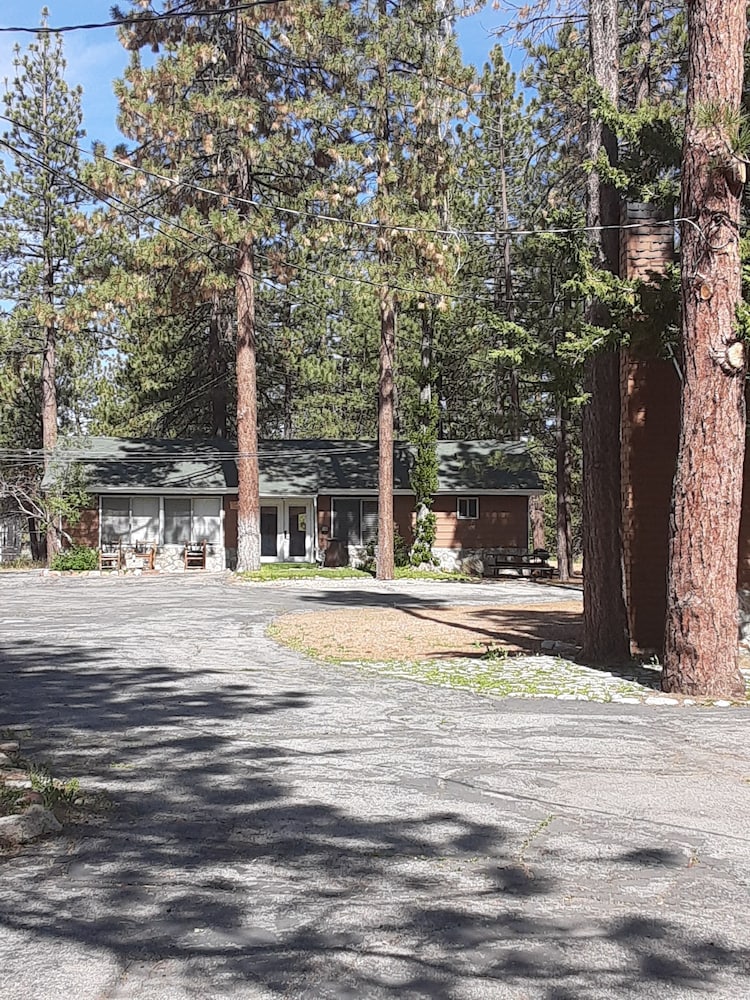 Grey Squirrel Resort - photo 165