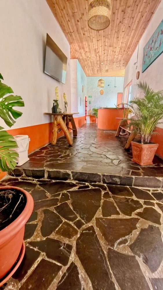Hotel Alcázar Real — Utica — photo 4