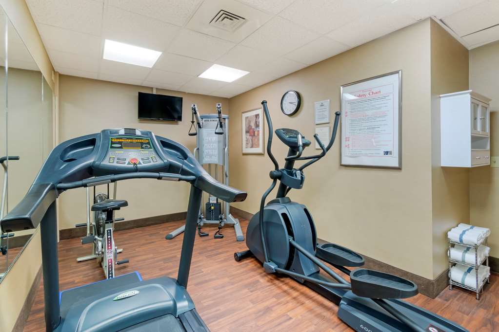 Comfort Inn Mechanicsburg Harrisburg South - photo 23