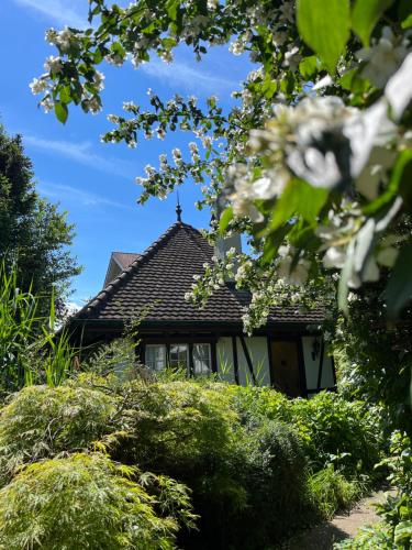 Boutique B21 - carbon neutral hotel in Unterseen