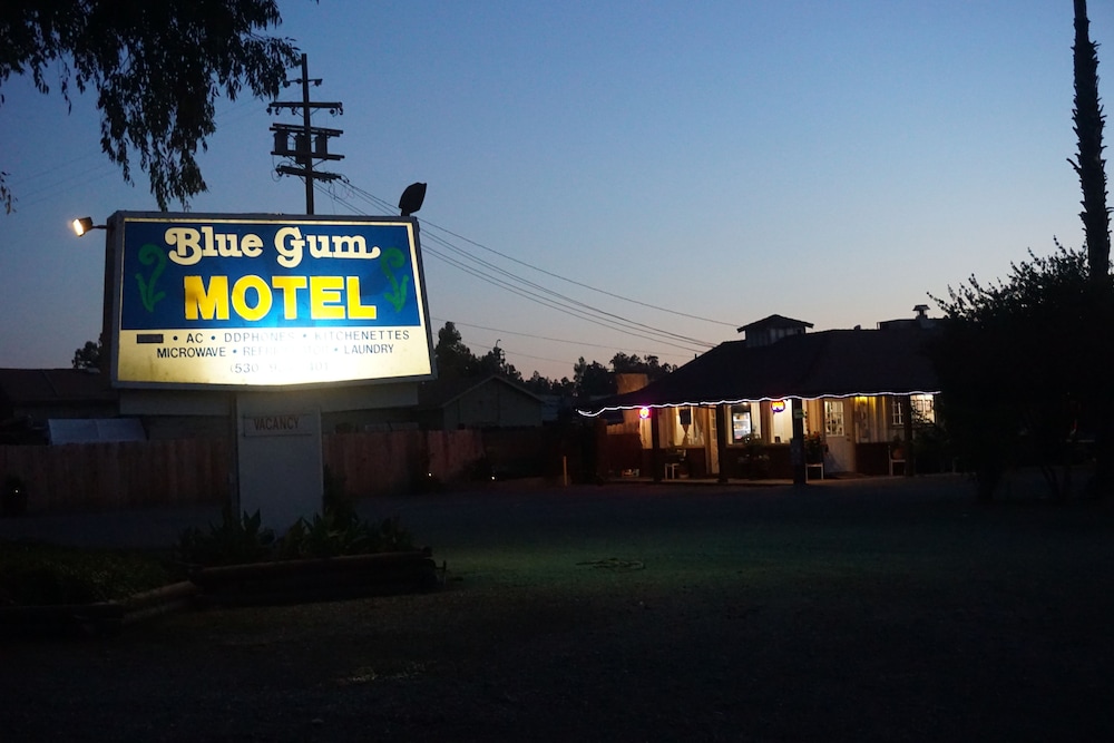 Blue Gum Motel - photo 35