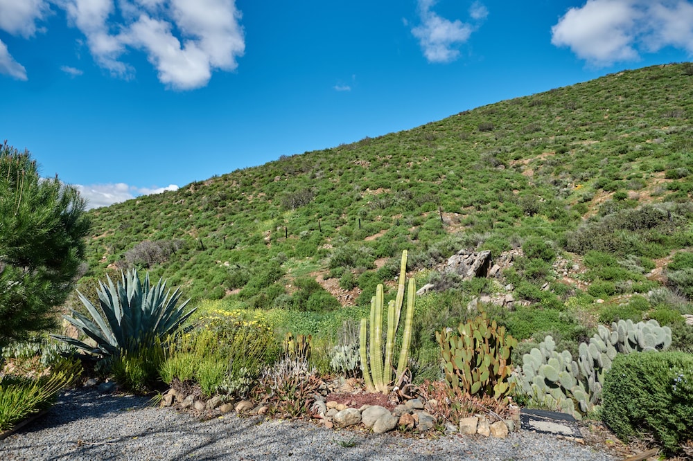Pio Pico RV Resort & Campground - photo 37