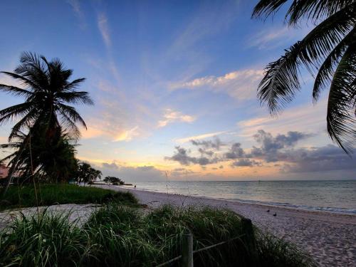 Tom’s Chicken Coop Key West in Key West, United States