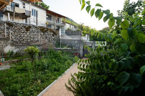Natural Zogaj — Shkoder — photo 4