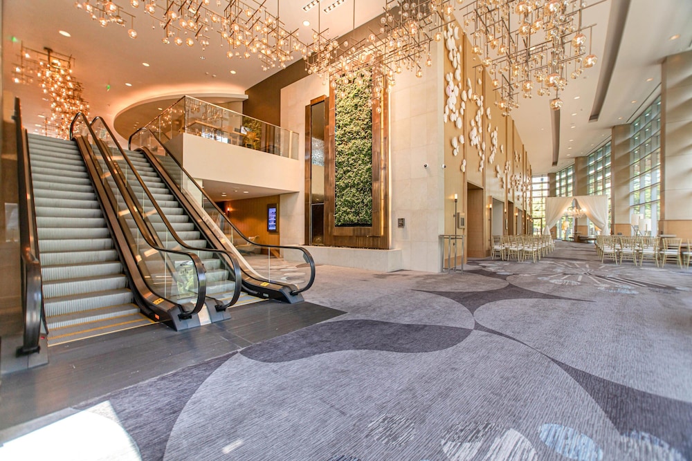 The Westin At The Woodlands - photo 83