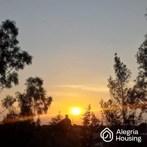 204 Arje Suites Campestre by Alegría Housing — Las Pilas — photo 4