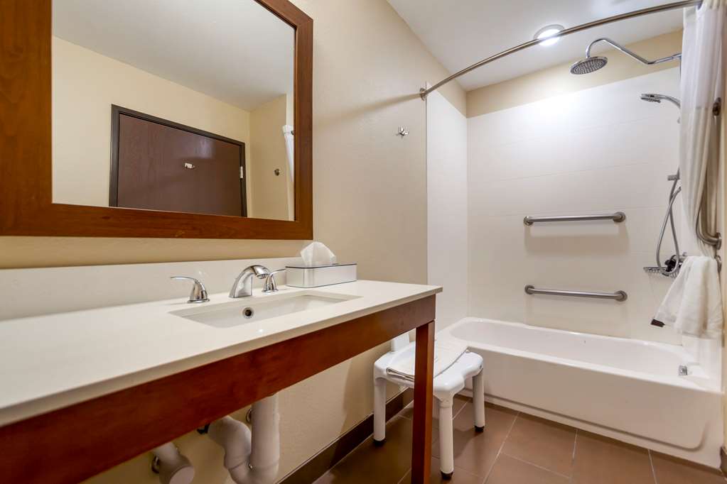 Comfort Suites La Vista Omaha - photo 14