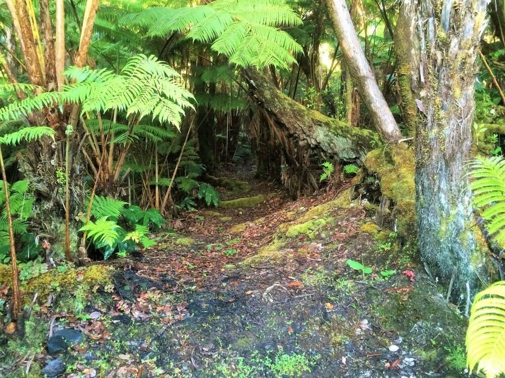 Hale OnaOna - photo 25