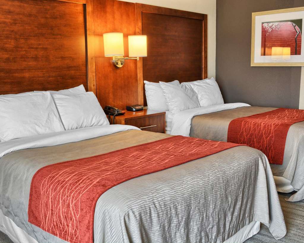 Comfort Inn Ruther Glen near Kings Dominion - photo 8
