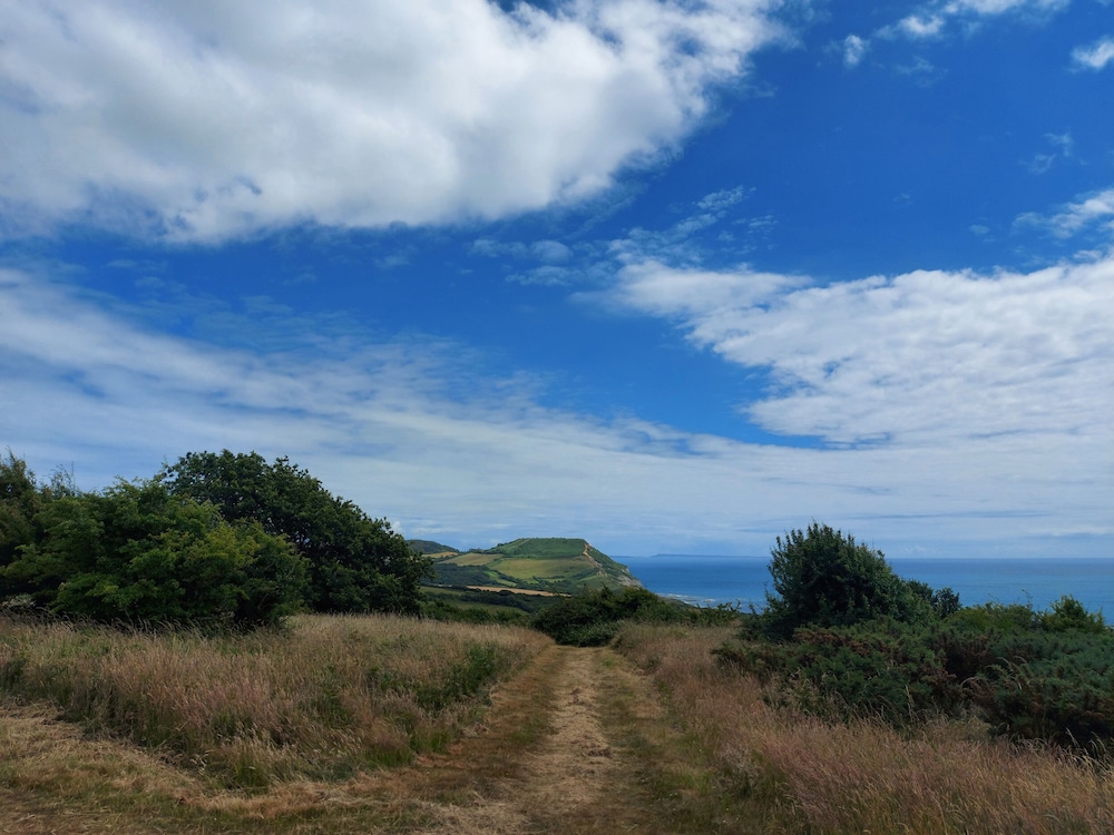 The Linhay — Bridport — photo 2