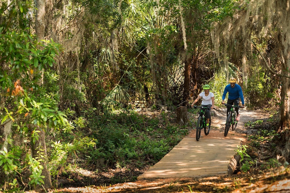 The Ritz Carlton Orlando Grande Lakes - photo 89