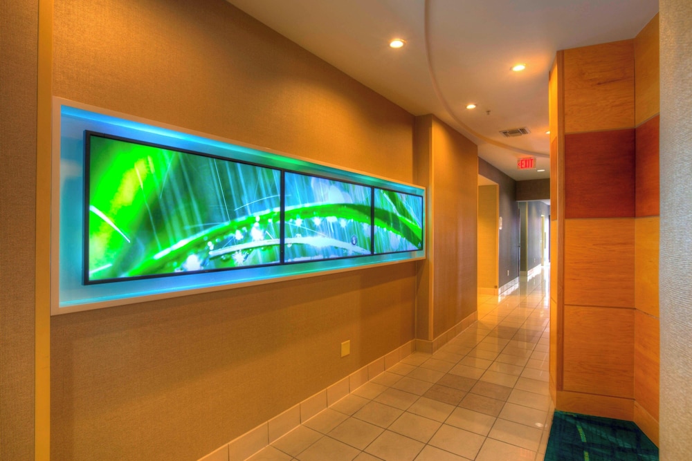 Springhill Suites by Marriott Tampa Brandon - photo 11