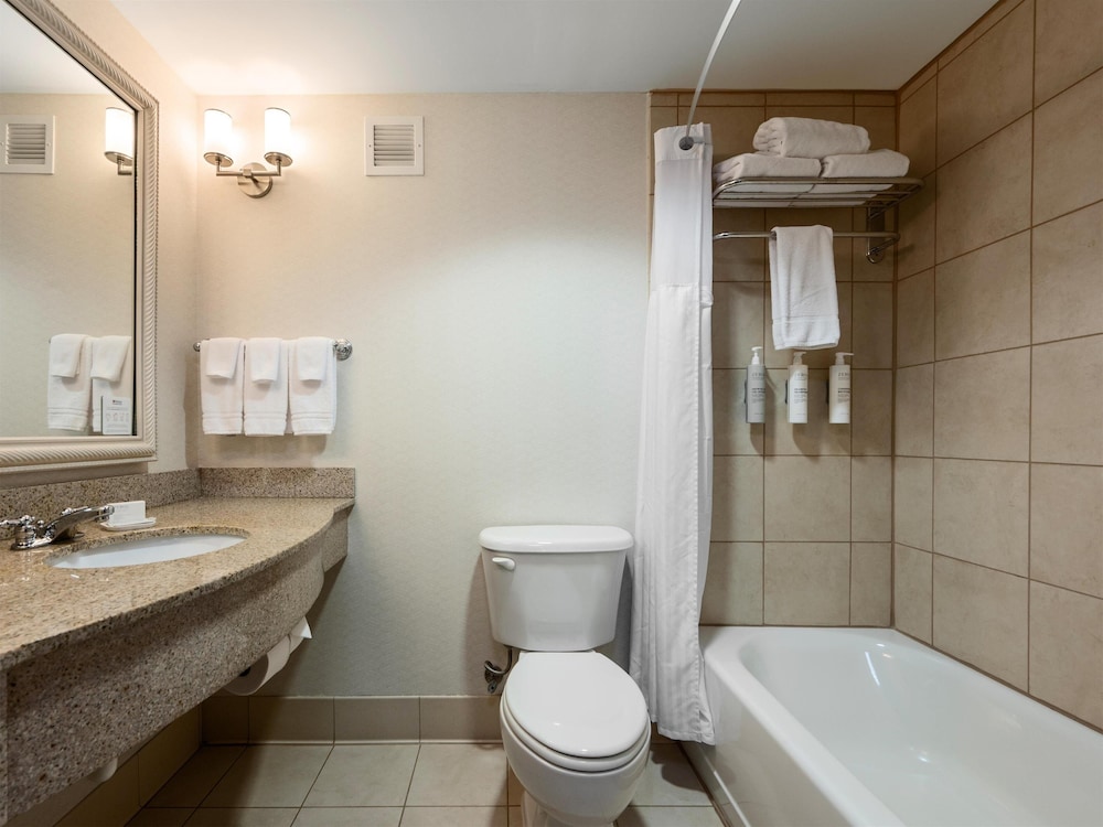 Hilton Garden Inn Winchester - photo 29