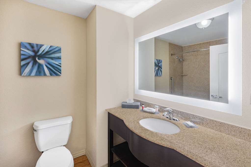 La Quinta Inn & Suites by Wyndham Garland Harbor Point - photo 48