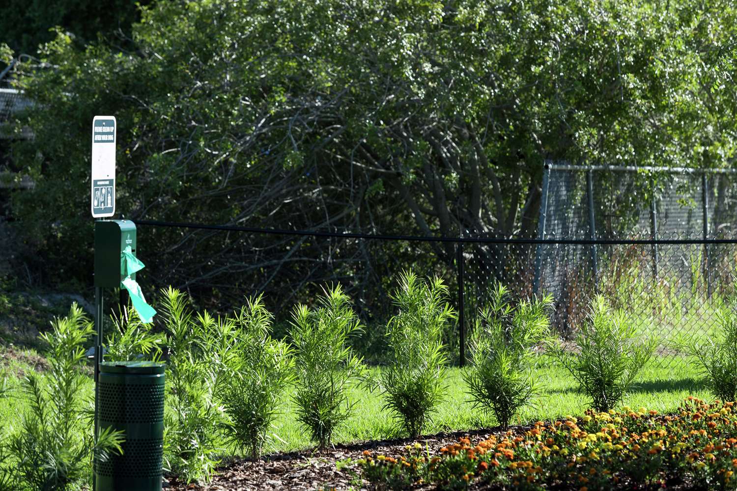 Home2 Suites by Hilton Orlando Airport - photo 20