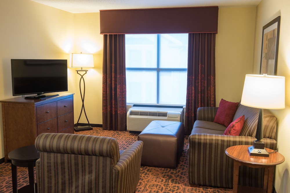 Hampton Inn & Suites Tampa North - photo 10