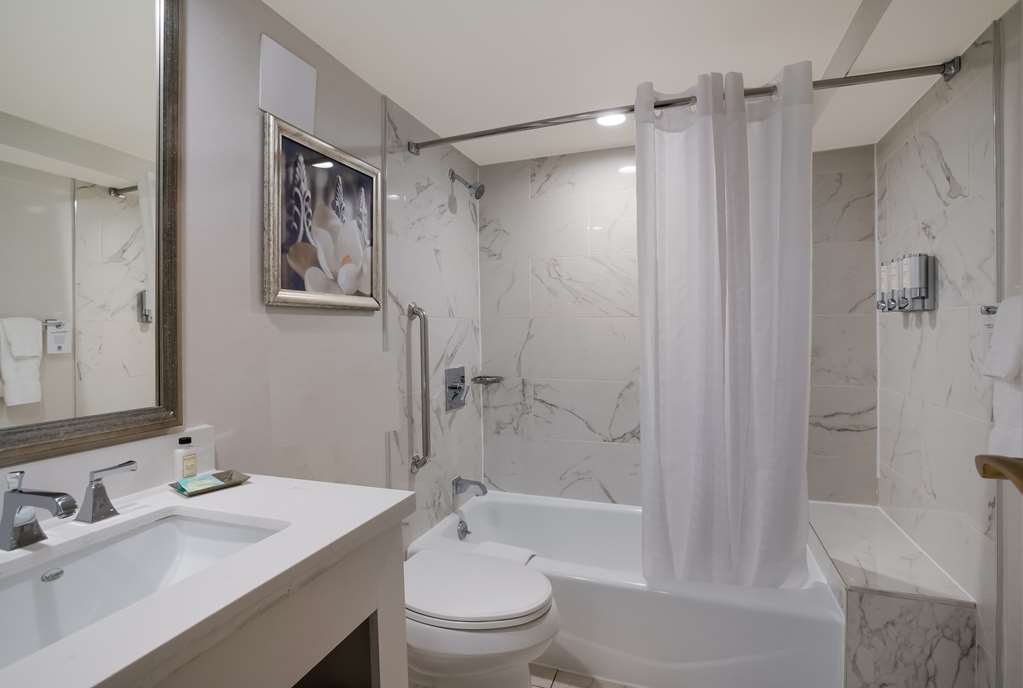 The Royal Sonesta New Orleans - photo 44