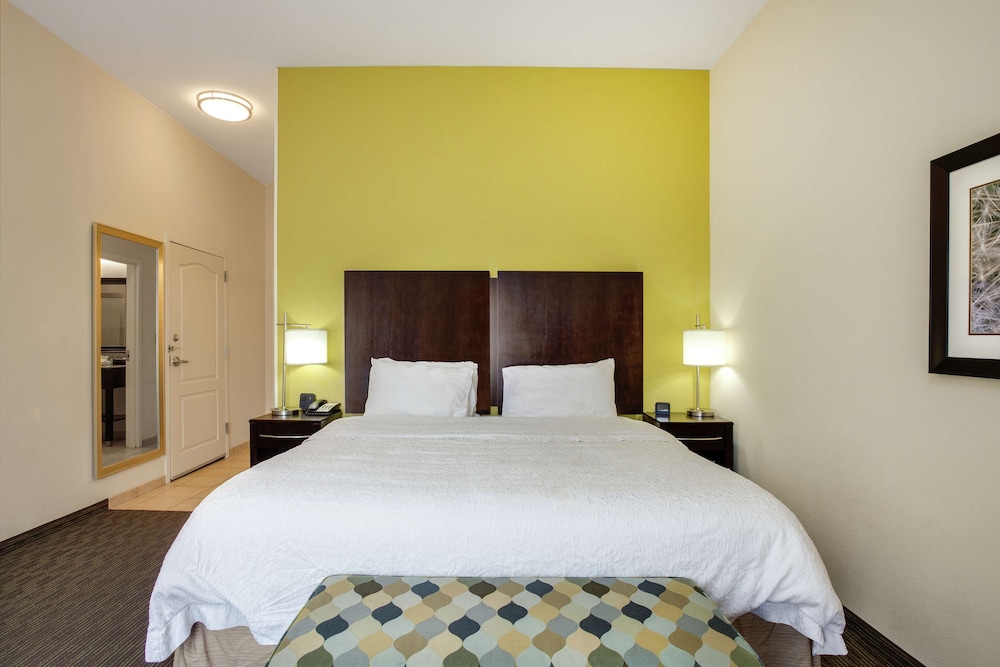 Hampton Inn Ozark - photo 11
