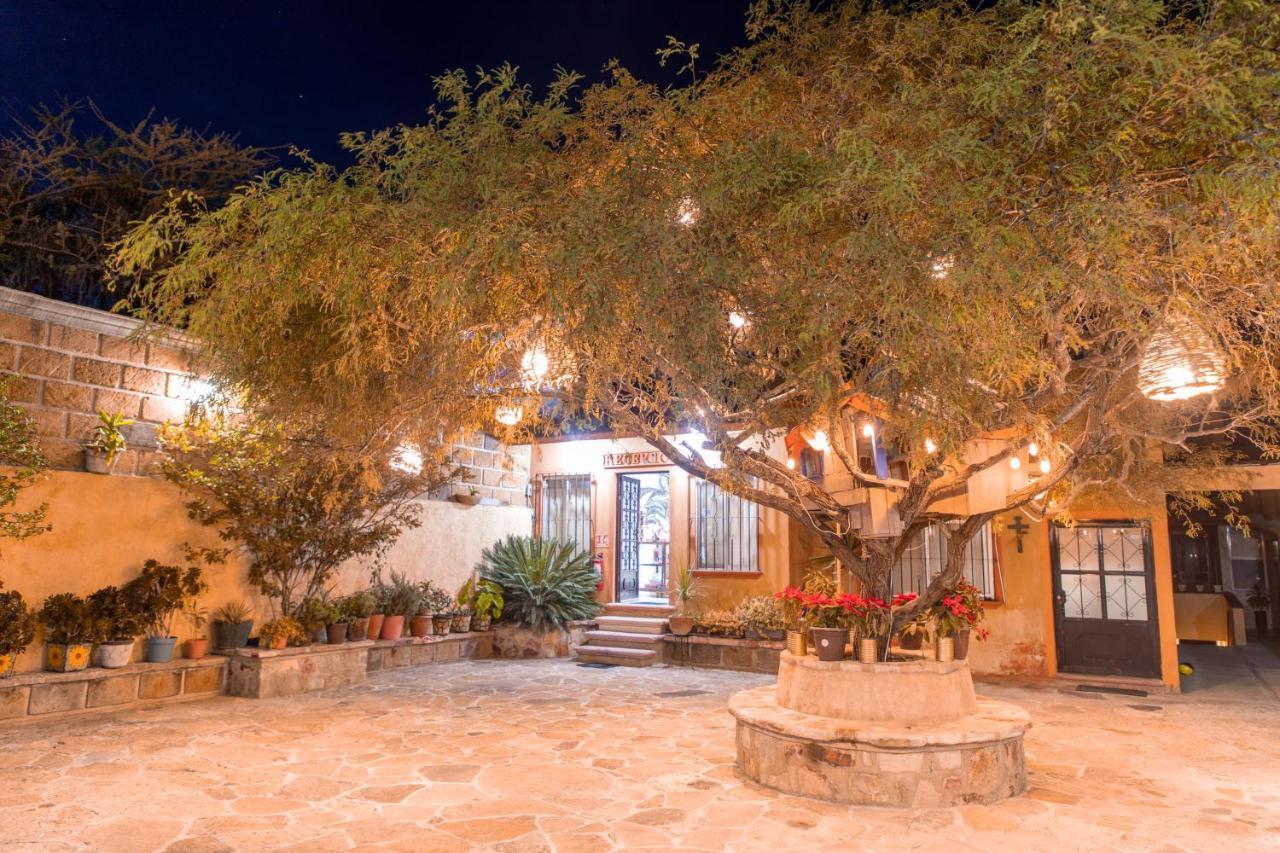 Hotel Casa del Arbol in Bernal, Mexico