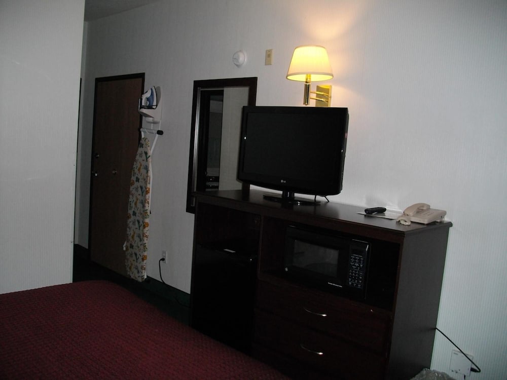 Bellis Inn - photo 8