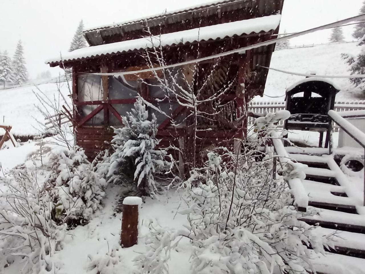 Perla Călimanilor in Vatra Dornei, Romania