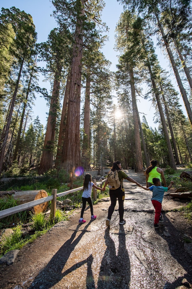 Tenaya at Yosemite - photo 103