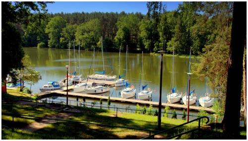 Ośrodek Wypoczynek Wodnik pet-friendly hotel Ruciane-Nida