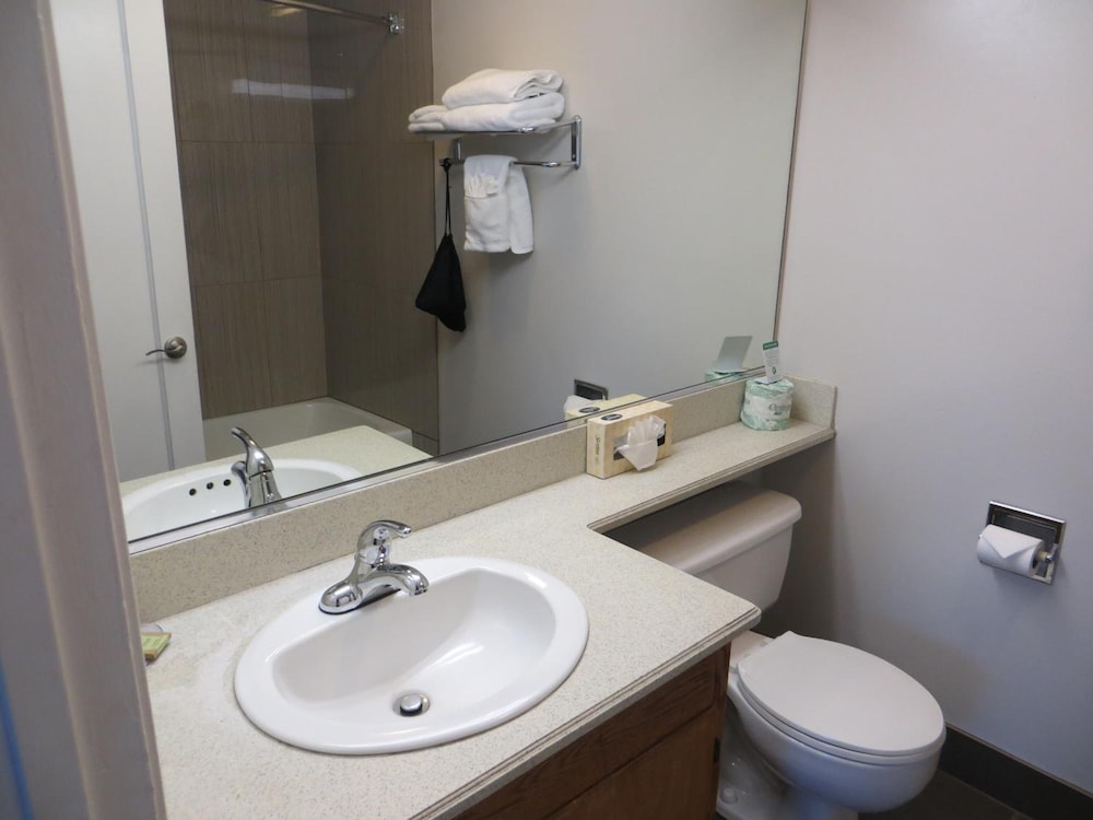 Hotel Parmani - photo 43