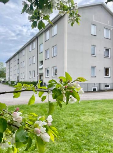 Tva Rum And Kok Borstorpsgatan 13 B 21681079 — Toereboda
