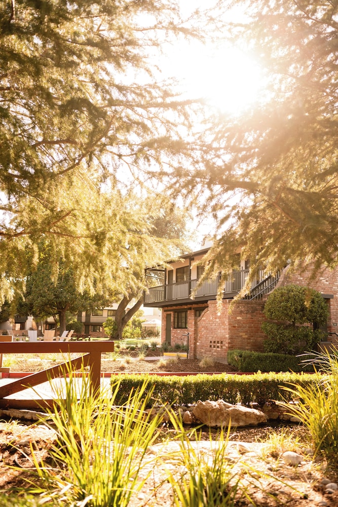 Paso Robles Inn - photo 59