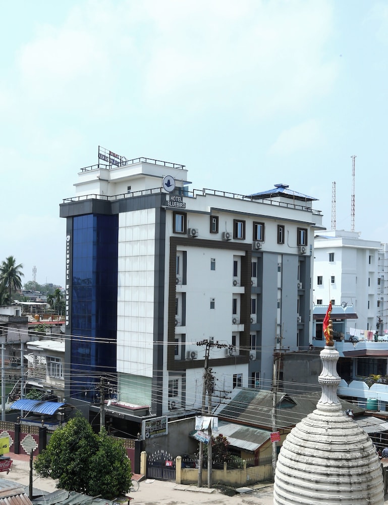 Hotel Blue Bird — hotel in Hojai