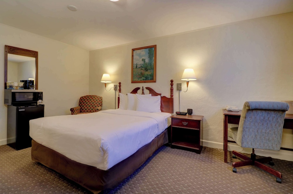 Senator Inn & Spa - photo 52