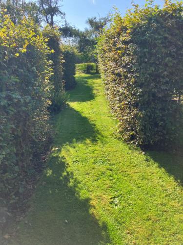 Ley Park — Bideford — photo 3