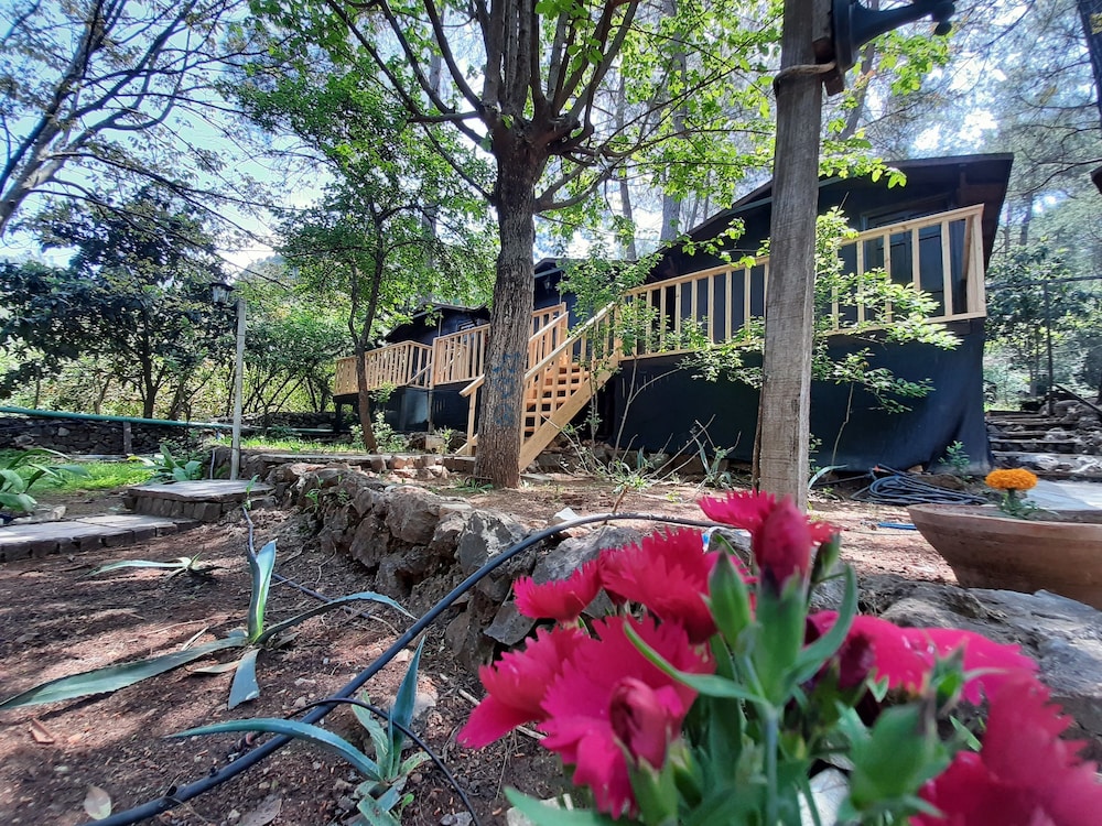 Altaris Bungalows Olympos in Kumluca, Turkey