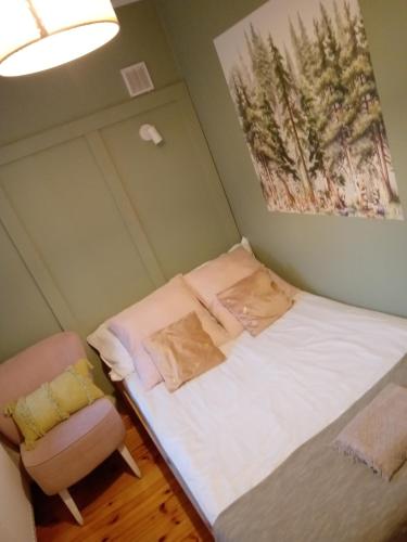 Leśny Mech in Augustow, Poland