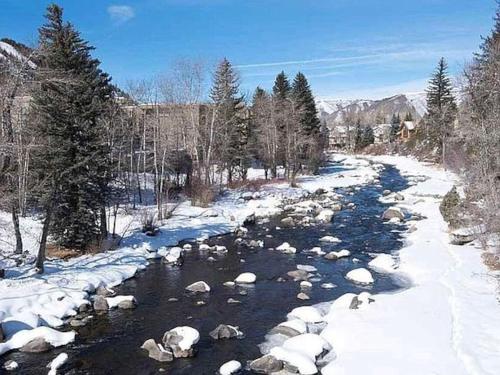 Modern Mountain Getaway Near Beaver Creek Shuttle in Avon, United States
