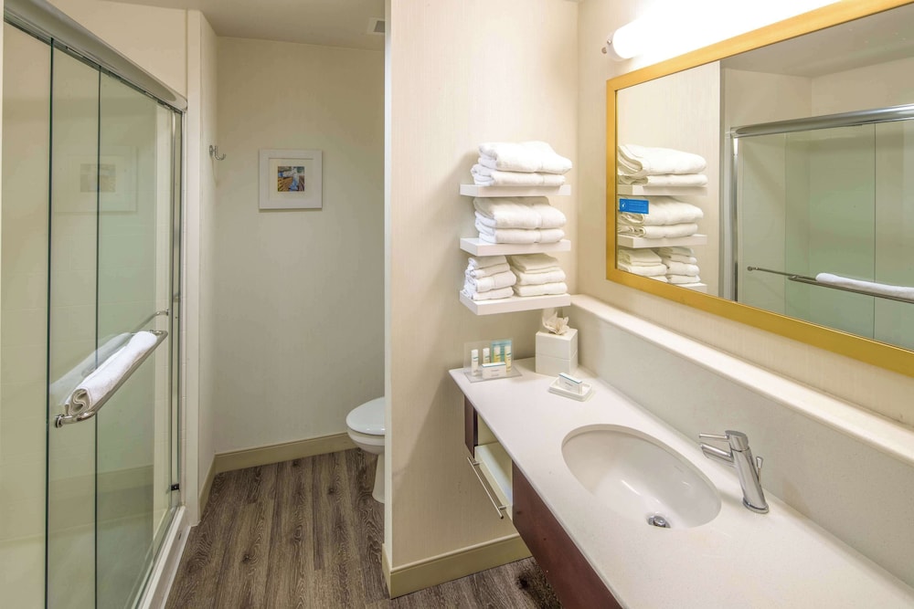 Hampton Inn Houston Downtown - photo 17