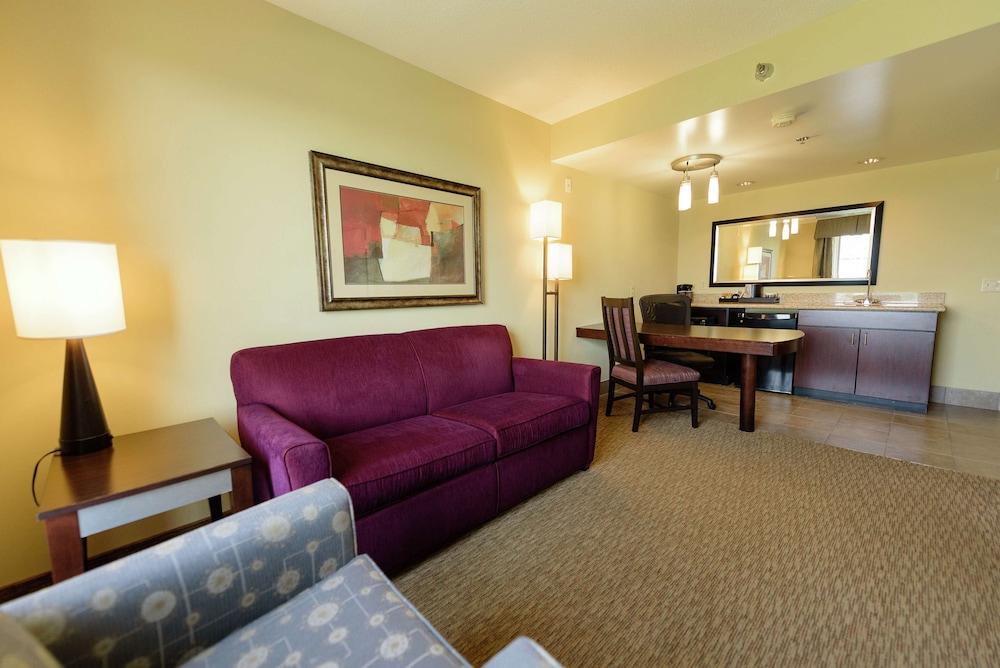 Embassy Suites by Hilton Minneapolis North - photo 13