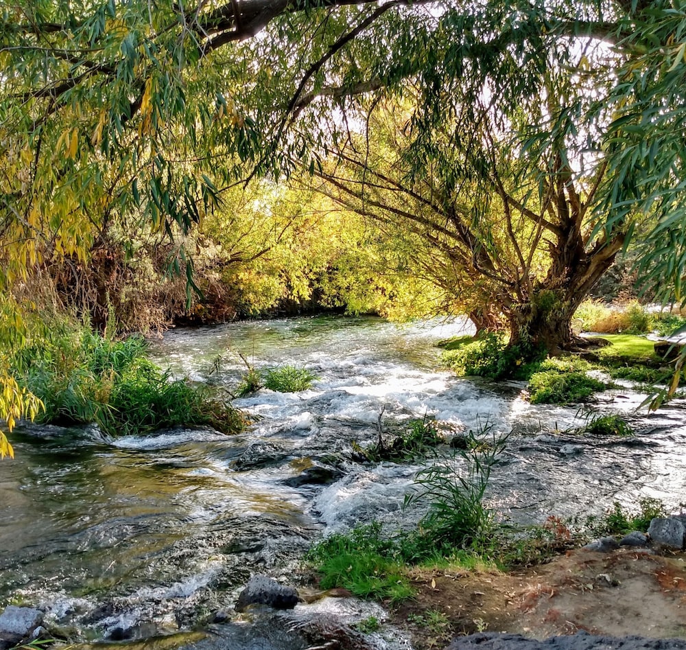 Billingsley Creek - photo 78